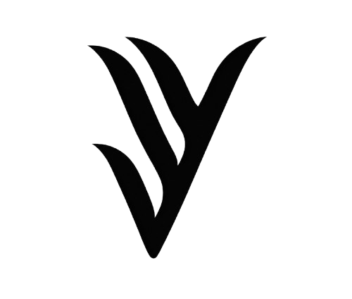 IVYZIER  brand strategy + creative direction